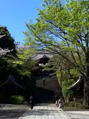 護国寺(東京都)