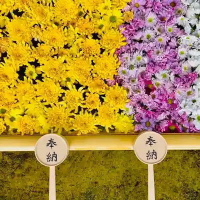 土津神社|こどもと出世の神さまの手水舎