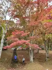 土津神社｜こどもと出世の神さま(福島県)