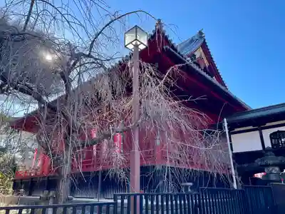 清水観音堂(東京都)