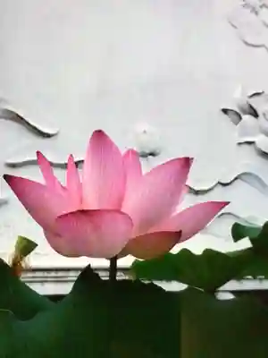 長善寺(東京都)