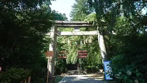 大崎八幡宮の鳥居