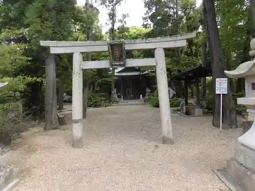 市杵島姫神社の鳥居