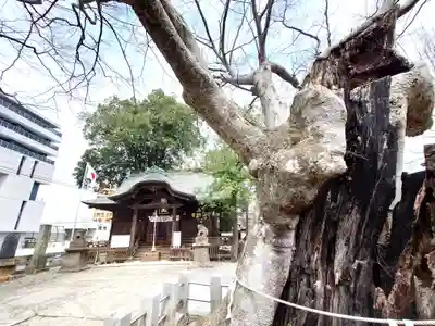 阿邪訶根神社(福島県)