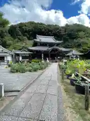 三室戸寺(京都府)