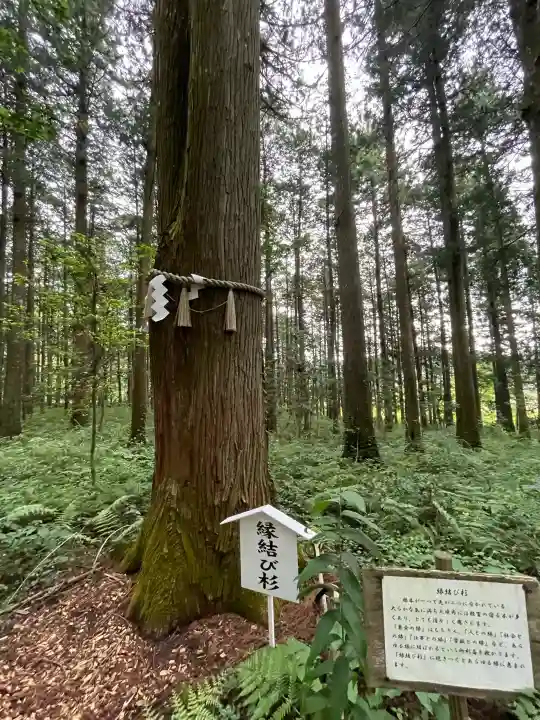 岩戸別神社(栃木県)
