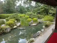 穴太寺の庭園