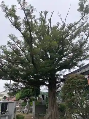 寳積院（宝積院）(神奈川県)