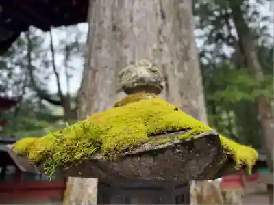 日光二荒山神社(栃木県)