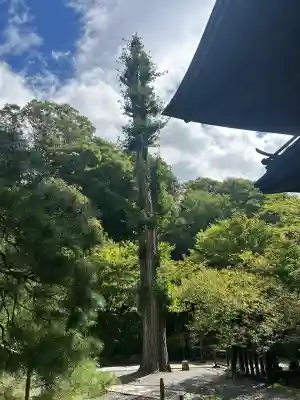 慈雲寺(長野県)