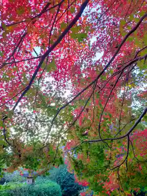 不退寺(奈良県)