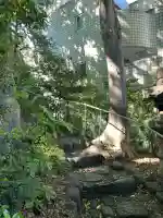猿楽神社(東京都)