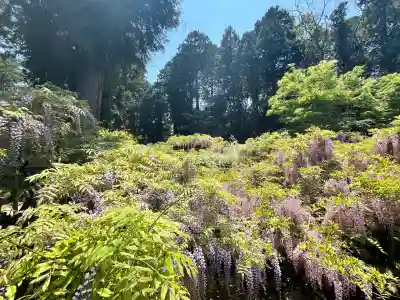 歌泉堂（春日大社神苑萬葉植物園内鎮座）(奈良県)