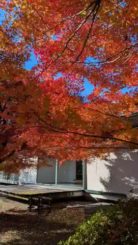 宇治上神社(京都府)