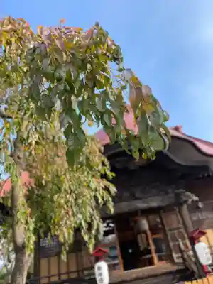 大鏑神社の本殿・本堂