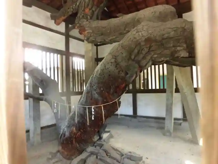 高砂神社のその他建物