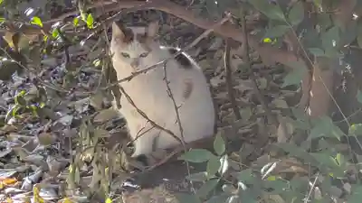 行願寺（革堂）(京都府)