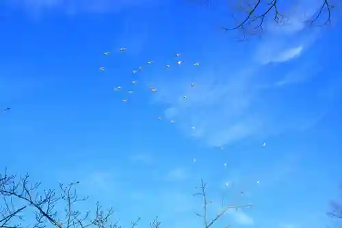 鶴岡八幡宮の自然