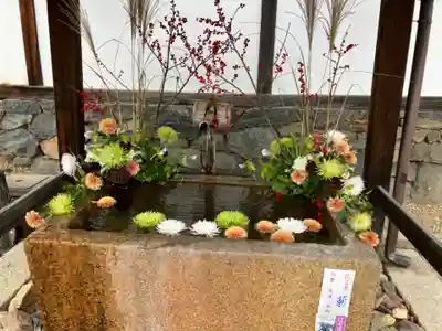 興聖寺（興聖寶林禅寺）の手水舎