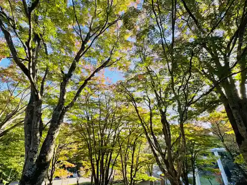 土津神社｜こどもと出世の神さま(福島県)