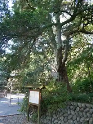 白羽神社のその他建物