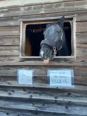小室浅間神社(山梨県)