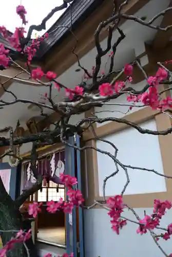 穏田神社(東京都)