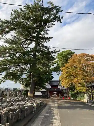 天嶽寺(埼玉県)