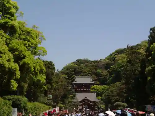 鶴岡八幡宮の景色