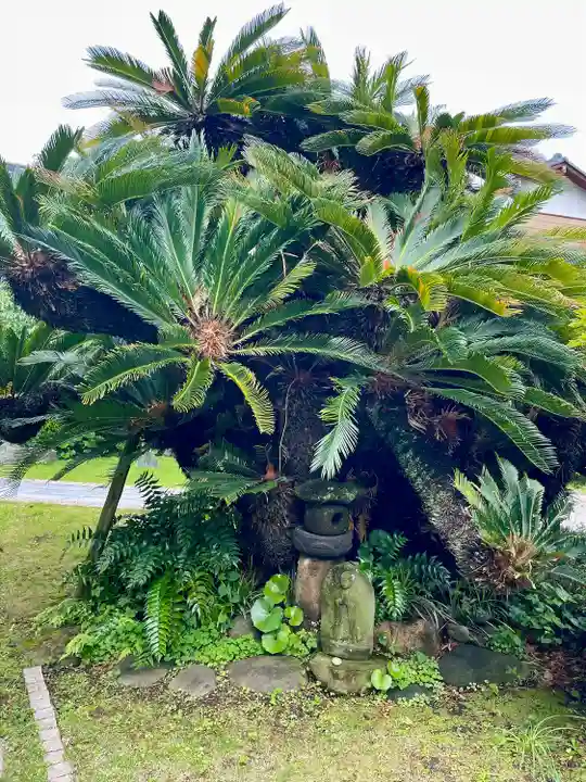 浄泉寺(神奈川県)