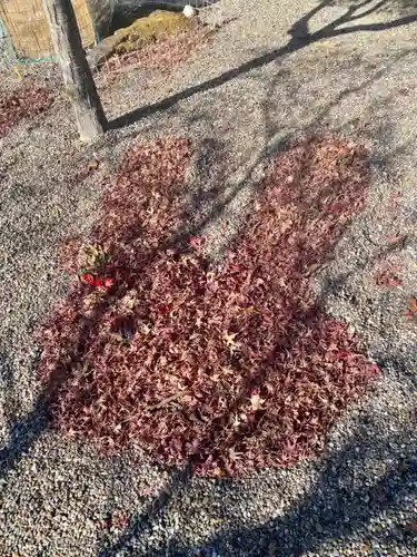 京都乃木神社(京都府)