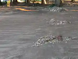 伏木香取神社(茨城県)(2024年11月08日(金) 07時32分42秒投稿)