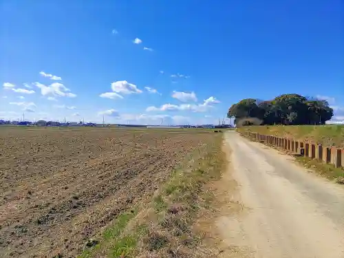 野寺八幡社の自然