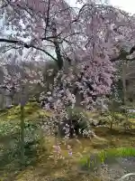 天龍寺の{uncategorized: "未分類", other: "その他", undefined: "問題あり", building: "その他建物", grave: "お墓", sacred_gate: "鳥居", guardian: "狛犬", statue: "像", buddha: "仏像", history: "歴史", nature: "自然", garden: "庭園", animal: "動物", pagoda: "塔", temizu: "手水舎", mountain_gate: "山門・神門", sanctuary: "本殿・本堂", subordinate: "末社・摂社", art: "芸術", scenery: "景色", jizo: "地蔵", ema: "絵馬", goshuin: "御朱印", omikuji: "おみくじ", items: "授与品その他", amulet: "お守り", goshuincho: "御朱印帳", eats: "食事", festival: "お祭り", votive_dance: "神楽", shichigosan: "七五三参", wedding: "結婚式", experience: "体験その他", initially: "初詣", around: "周辺", anti_infection: "感染症対策"}