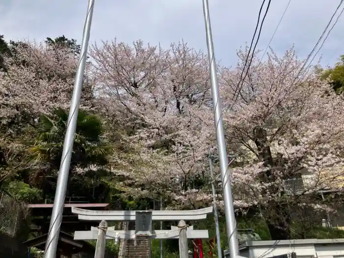 杉山神社の鳥居