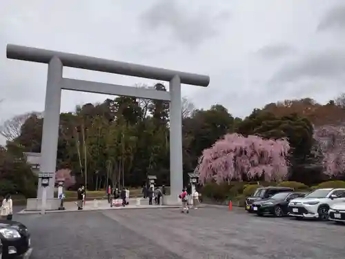 櫻木神社の鳥居