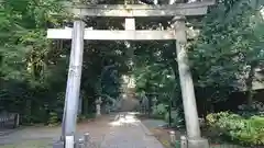 赤坂氷川神社の鳥居