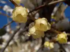 清水寺の自然