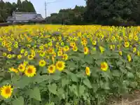 八幡神社の自然
