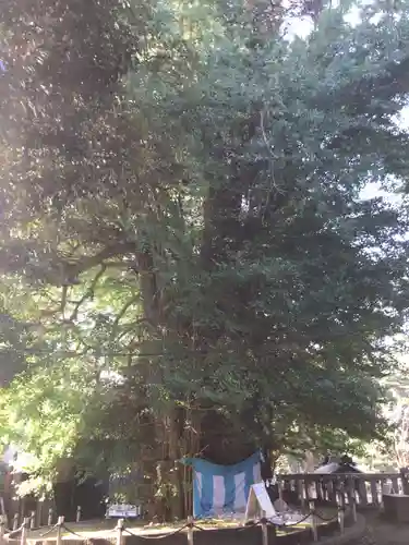 鶴嶺八幡宮(神奈川県)