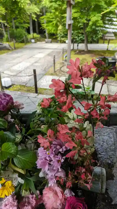 勝林寺(京都府)