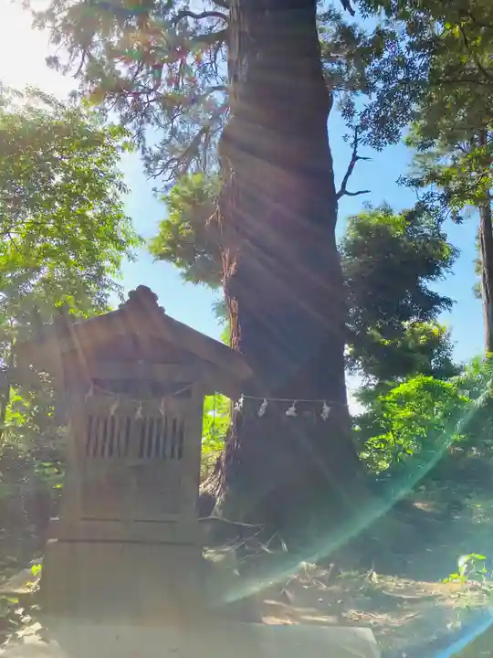 日吉神社(千葉県)