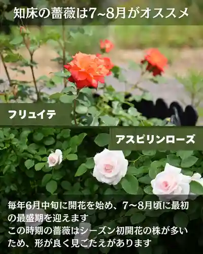 宝光寺(北海道)