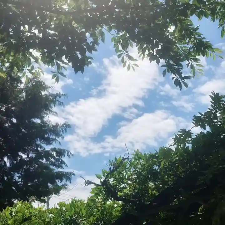 秋葉神社の自然