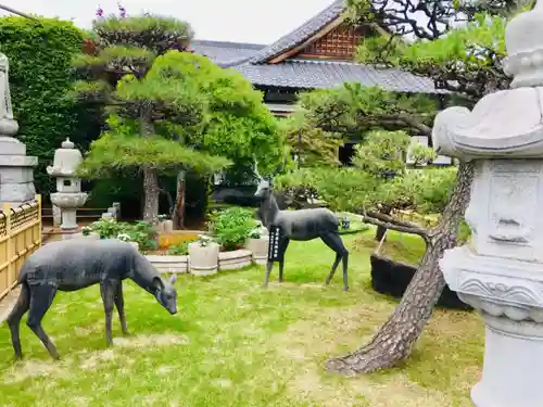 最明寺の庭園