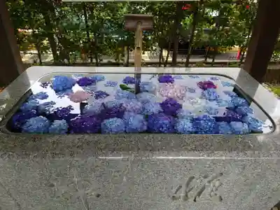 桜神宮(東京都)