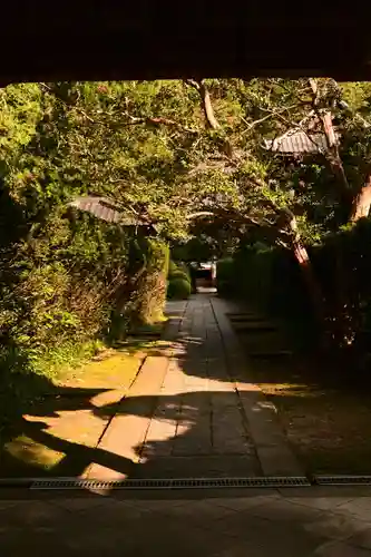 安楽寺(長野県)