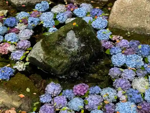 武蔵一宮氷川神社(埼玉県)