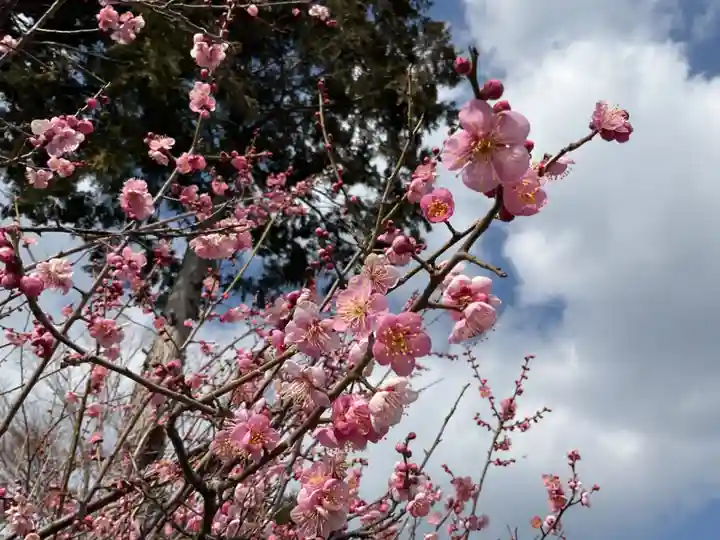 天神社(下小針)(愛知県)