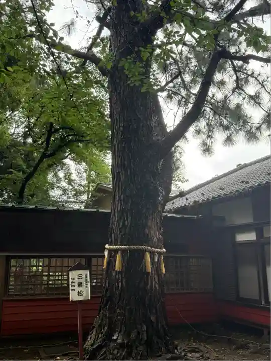 前原御嶽神社(千葉県)